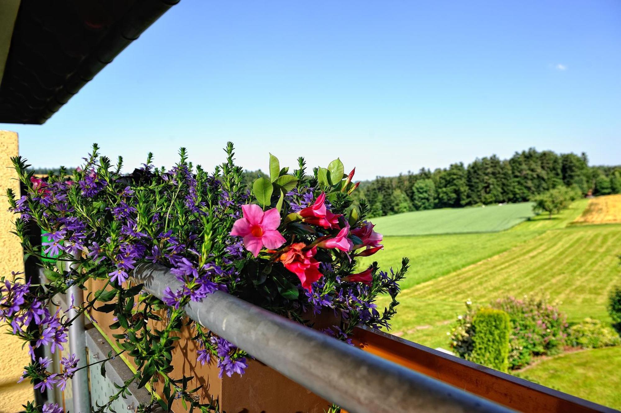 Landhotel Talblick Neuweiler  Exteriör bild