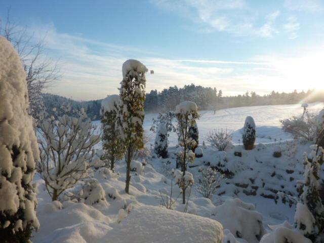 Landhotel Talblick Neuweiler  Exteriör bild